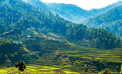 NAINITAL RANIKHET ALMORA KAUSANI CORBETT TOUR PACKAGE 07 NIGHT  08 DAYS