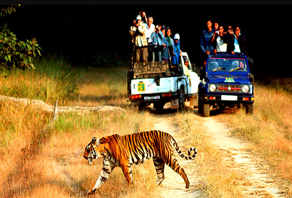 DELHI- NAINITAL KAUSANI MUNSIYARI CHAUKORI RANIKHET CORBETT DELHI 09 NIGHT 10 DAYS